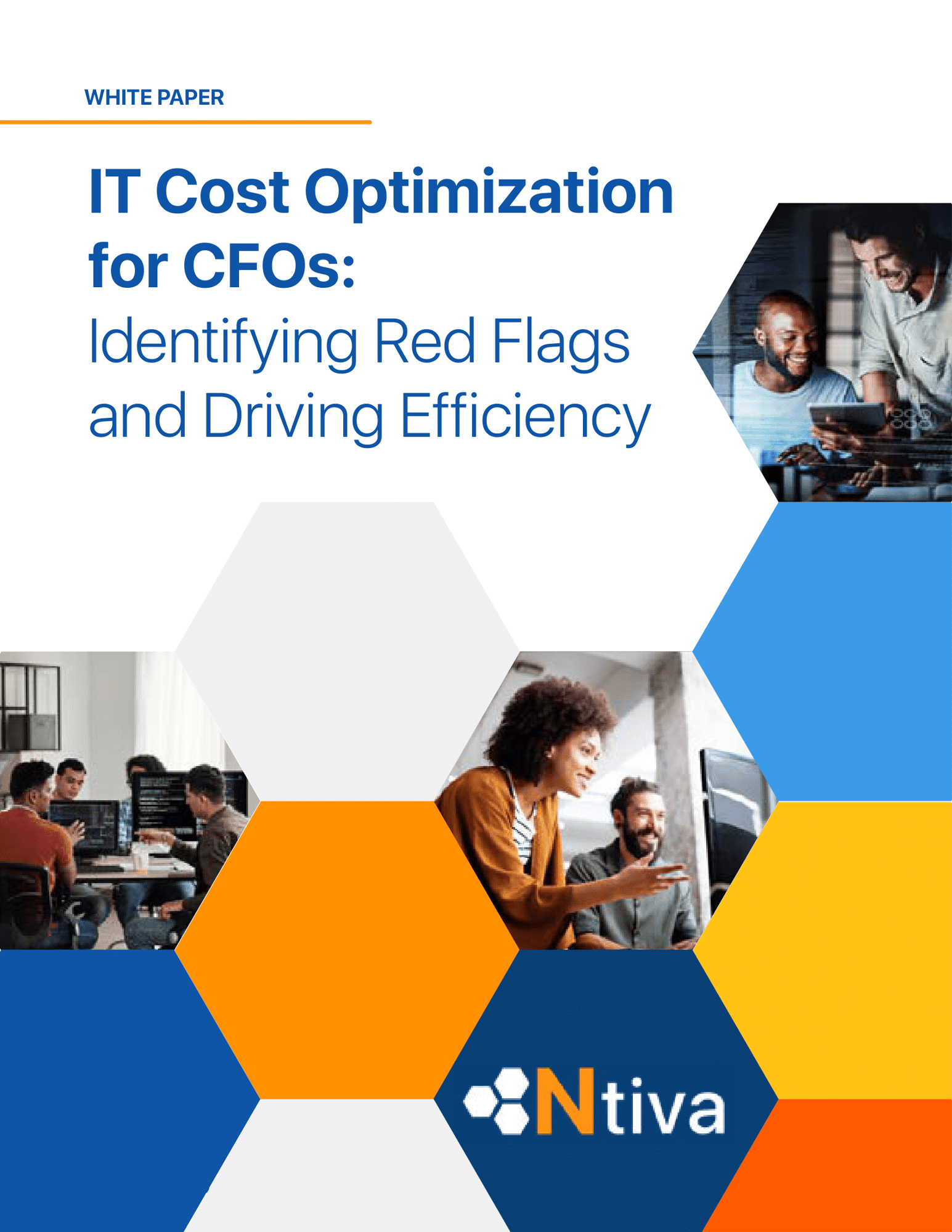 2025 IT Cost Optimization for CFOs - Identifying Red Flags and Driving Efficiency 2025 IT Cost Optimization for CFOs - Identifying Red Flags and Driving Efficiency