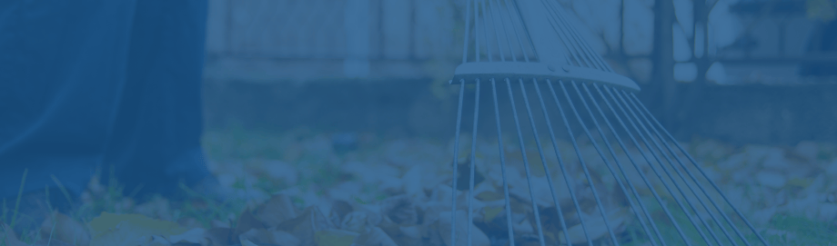 Commercial Landscaping company Image