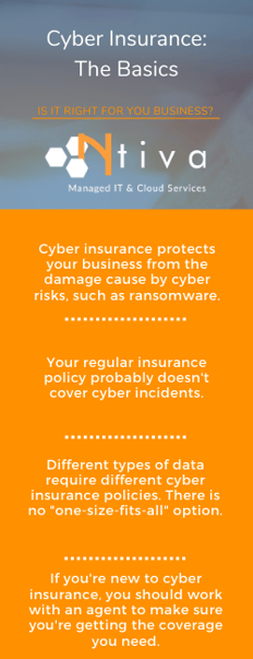 IT Consultant Cyber Insurance Infographic