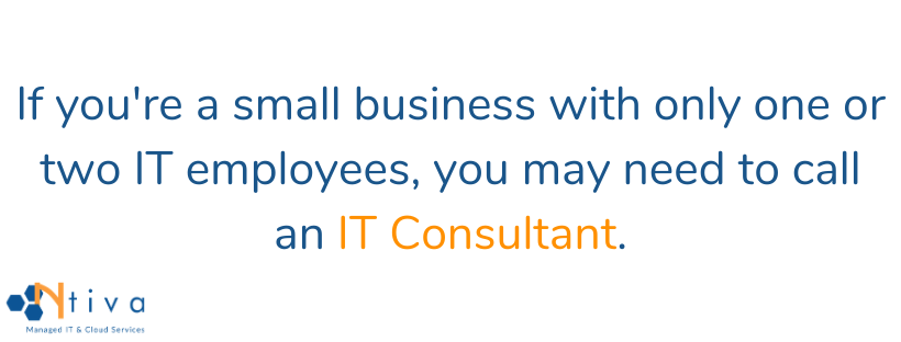 IT consultant quote