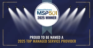 MSP 501 2025