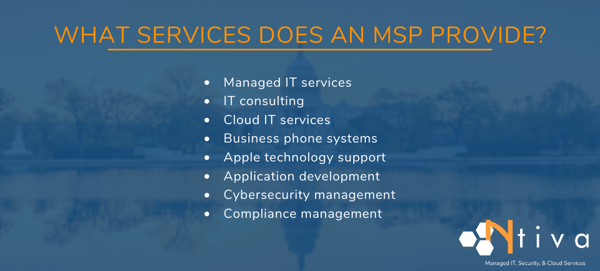What Does an MSP Do?