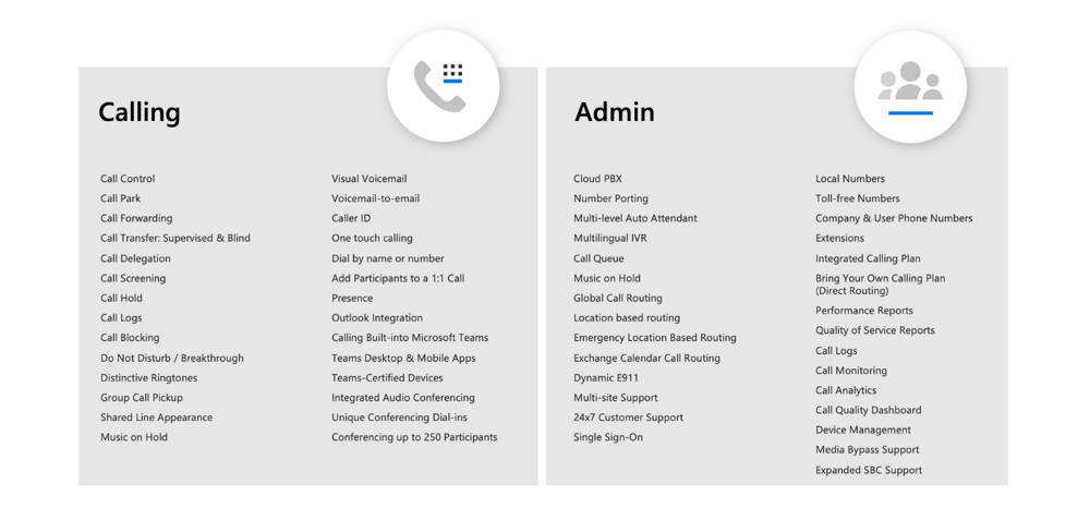 Microsoft Business Voice Features