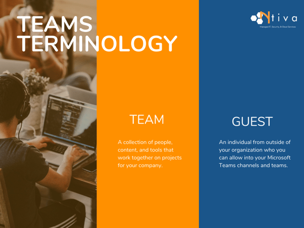 Microsoft Teams Guest and Teams Comparison