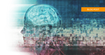 What is social engineering