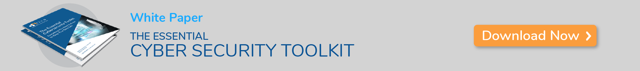 The Essential Cybersecurity Toolkit E-Book Download Call to Action